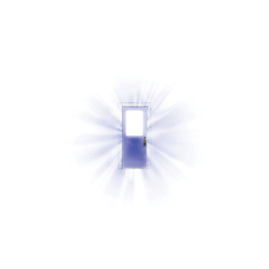 女子驷马悬吊真人
