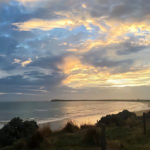 女子驷马悬吊真人
