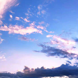 女子驷马悬吊真人
